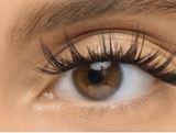 KS08 - 12mm Luxury Lash Extensions